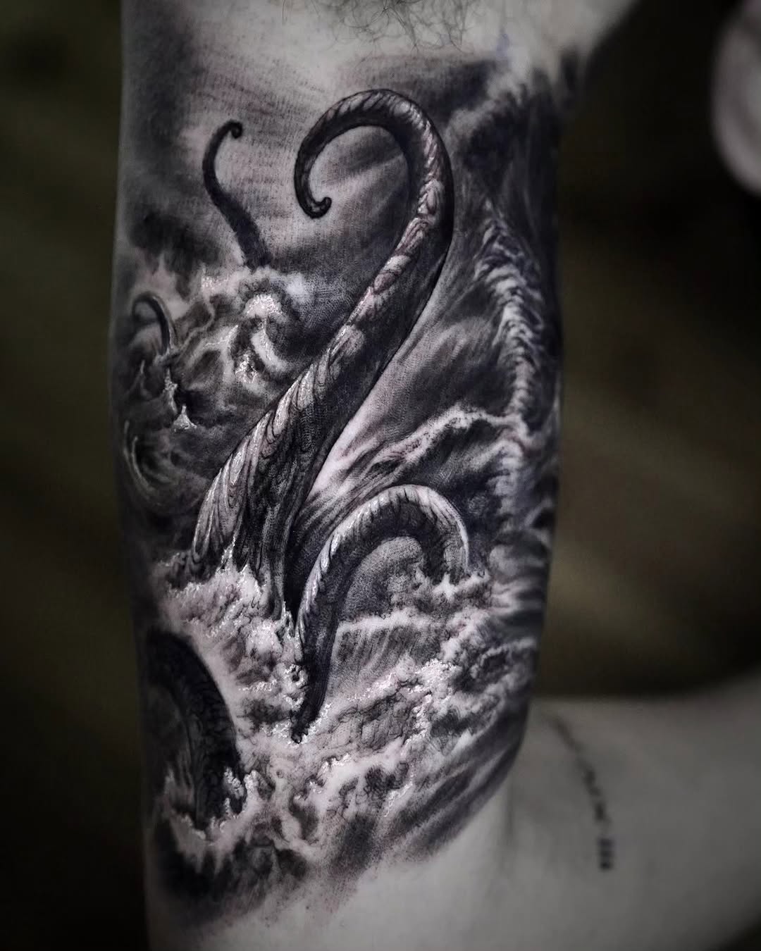 Animal, Dragon