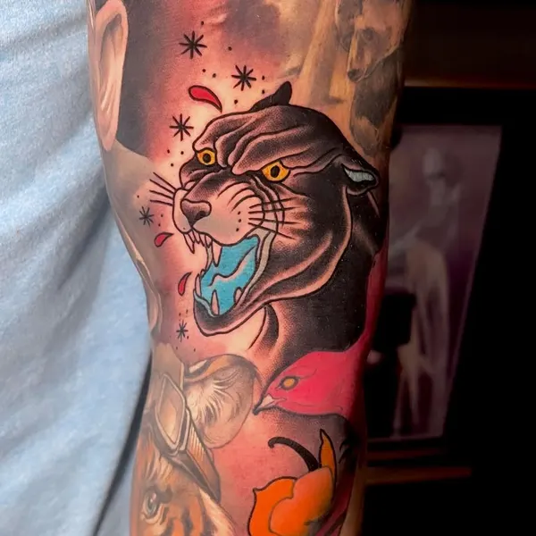 Tiger, Animal