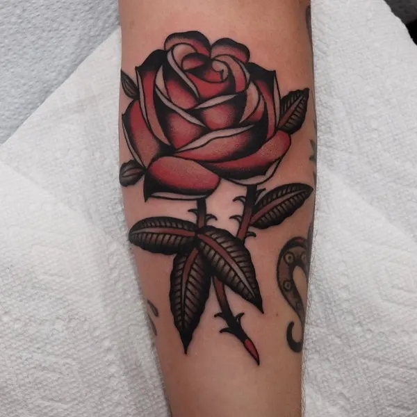 Flower, Rose