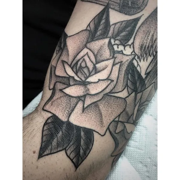 Flower, Rose