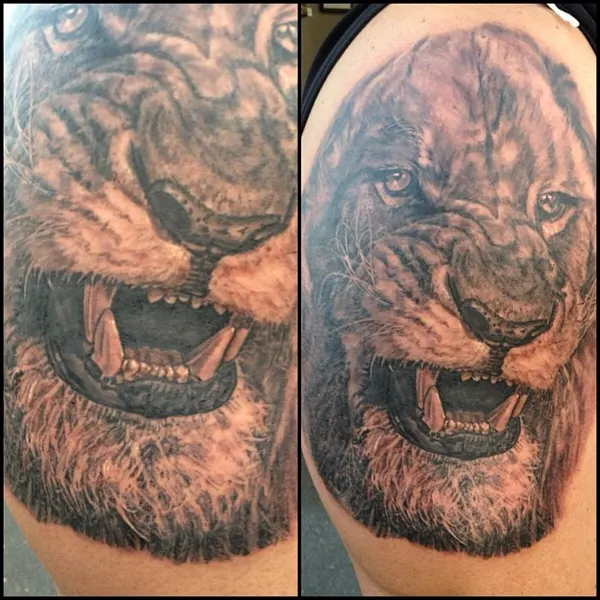 Tiger