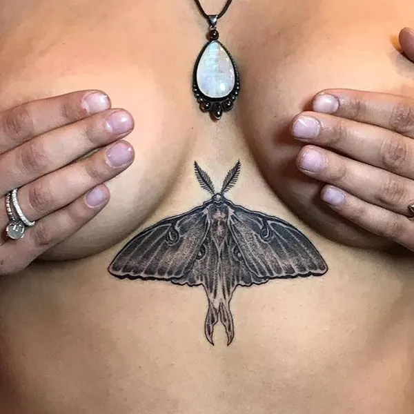 Animal, Nature, 나방