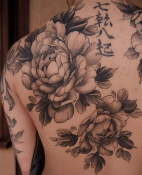 Flower, Nature, Rose