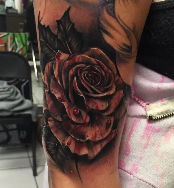 Flower, Rose