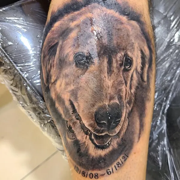 Animal, 강아지, 충성