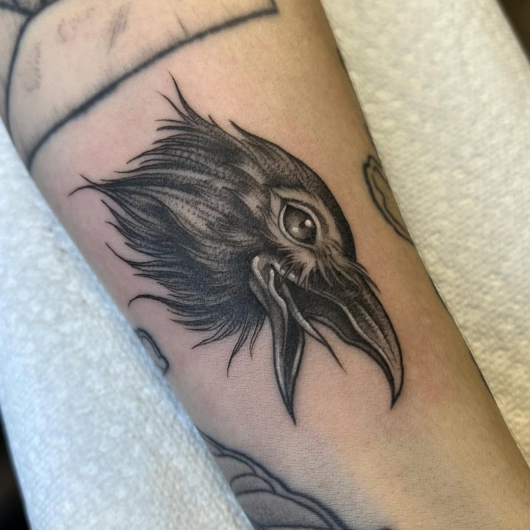 Animal