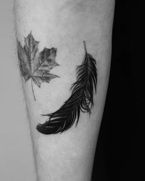 잎, Nature, 단풍잎, 깃털