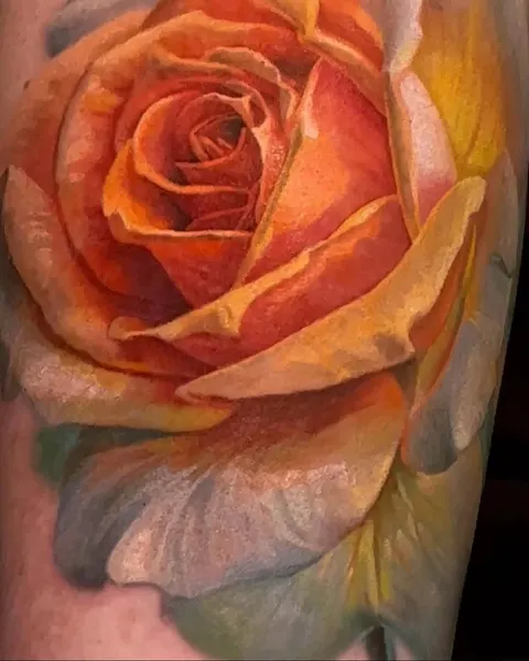 Flower, Rose