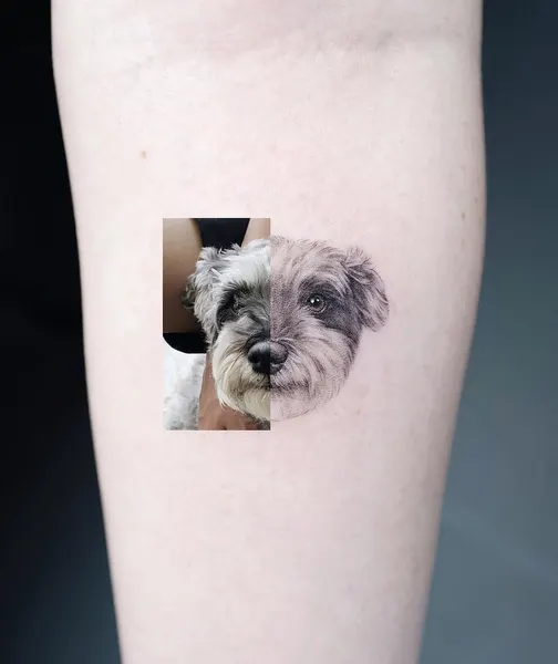 paw.tattoo