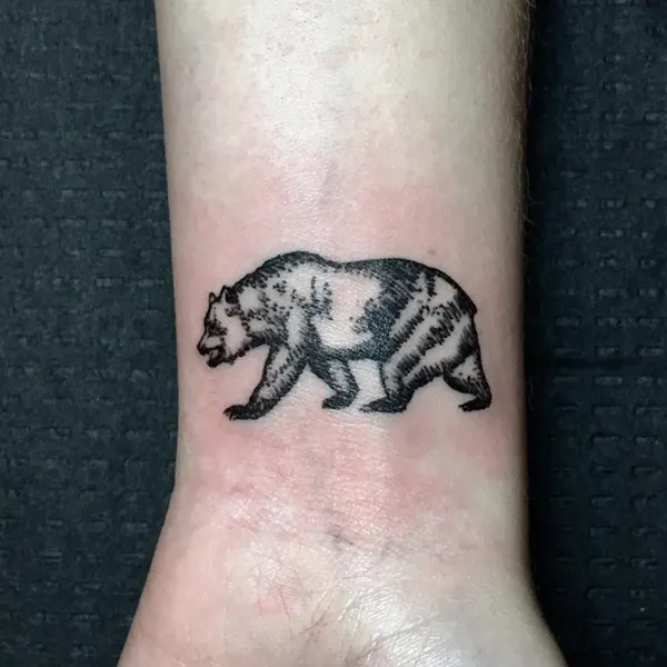 양, Animal, 곰, 돼지, 팬서, 고릴라, 멧돼지, 코끼리, 코알라, 나무늘보, 판다