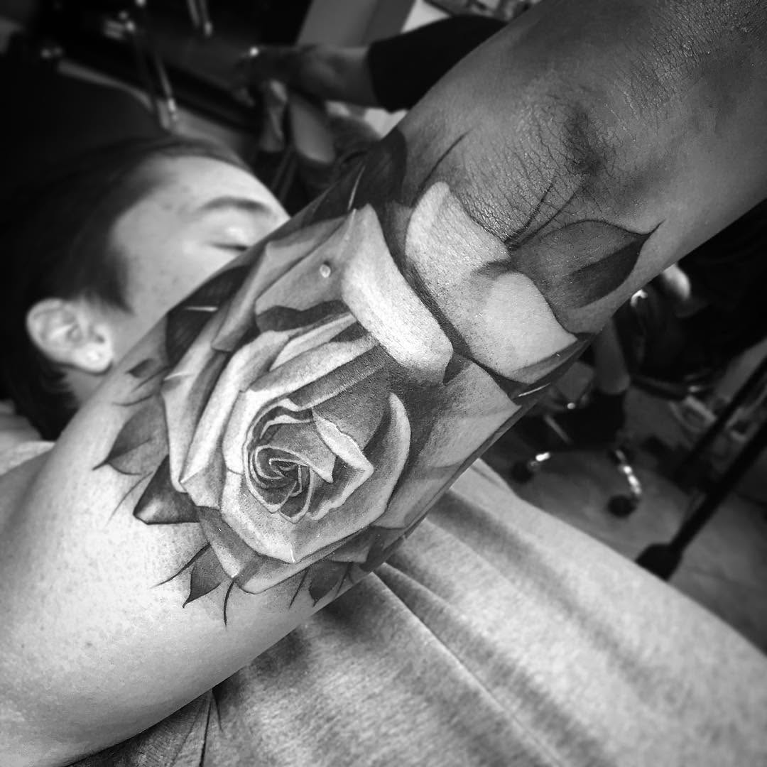 Flower, Rose