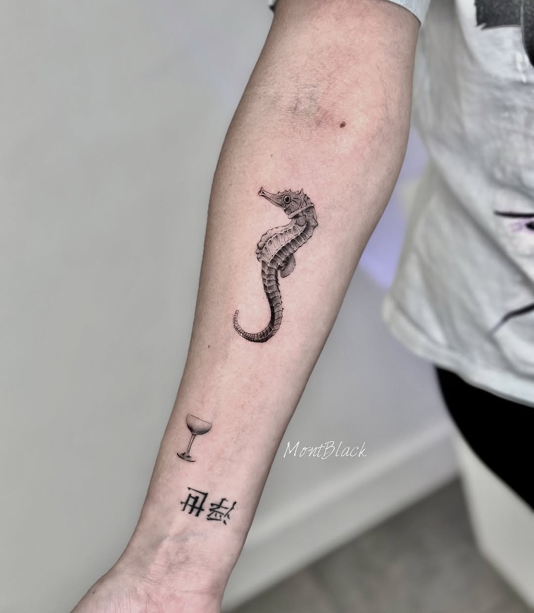 Dragon, Snake, 백조