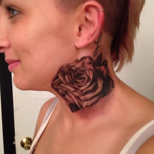 Flower, Nature, Rose