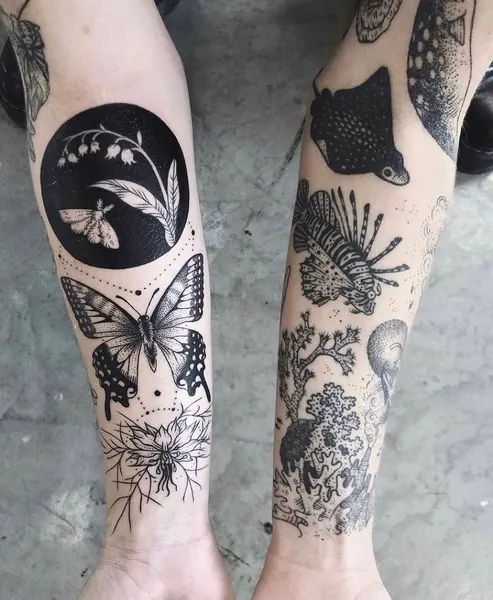 Animal, Nature