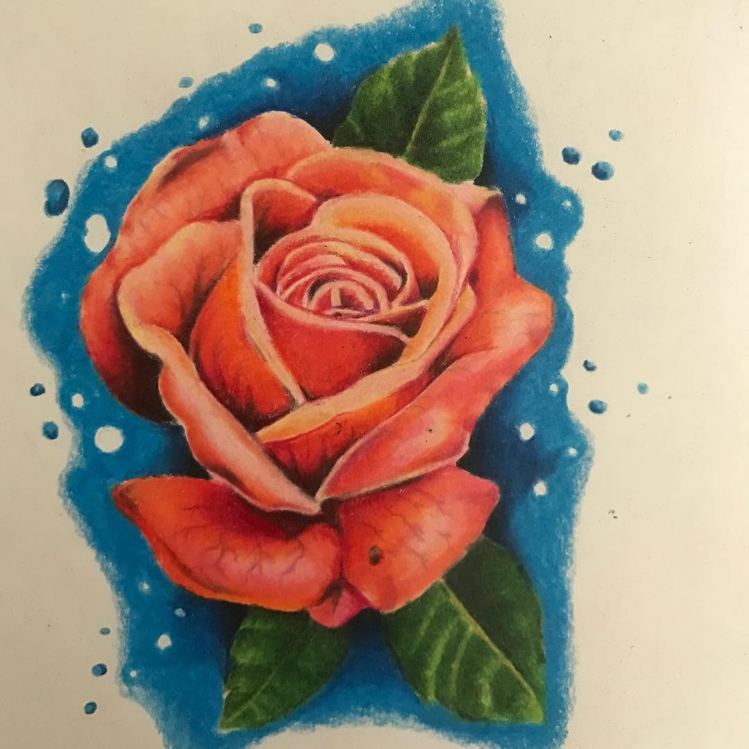 Flower, Rose