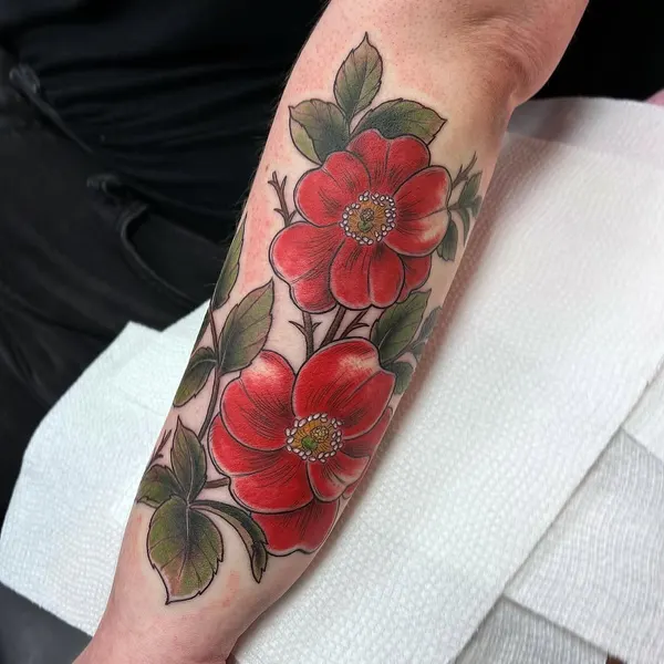 Flower, Rose