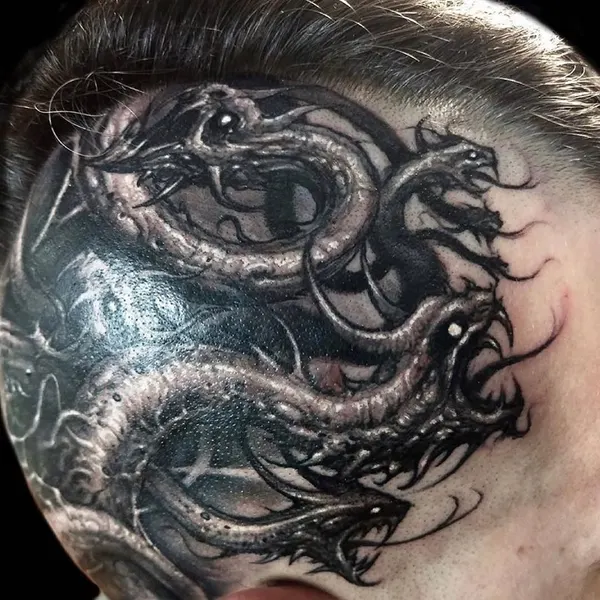 Dragon, 드래곤 라이더
