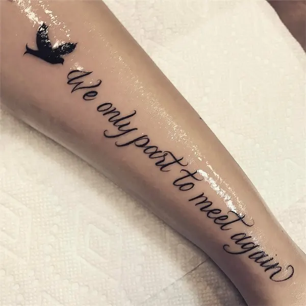Lettering, 문구, 가사, 물망초, 손글씨