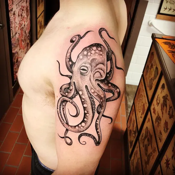 Animal