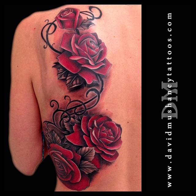 Flower, Rose