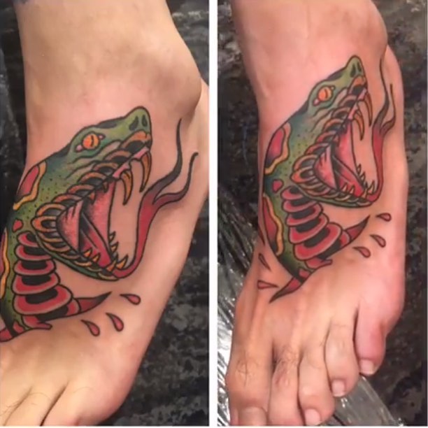 Dragon, 도마뱀, 악어