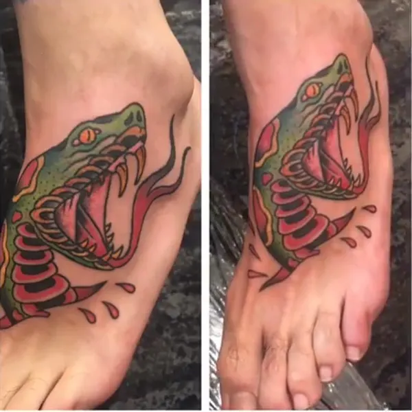 Dragon, 도마뱀, 악어
