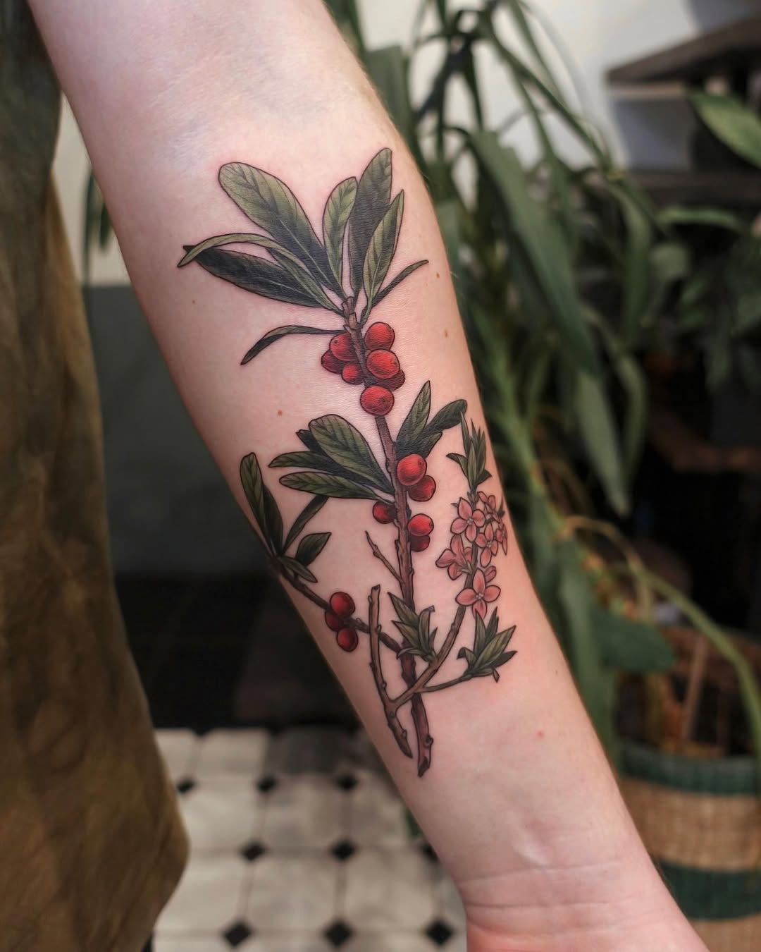 Flower, Rose
