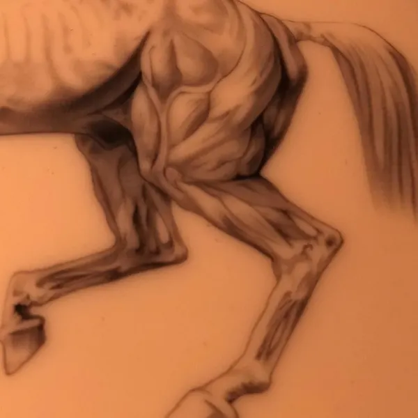 adamdeanart