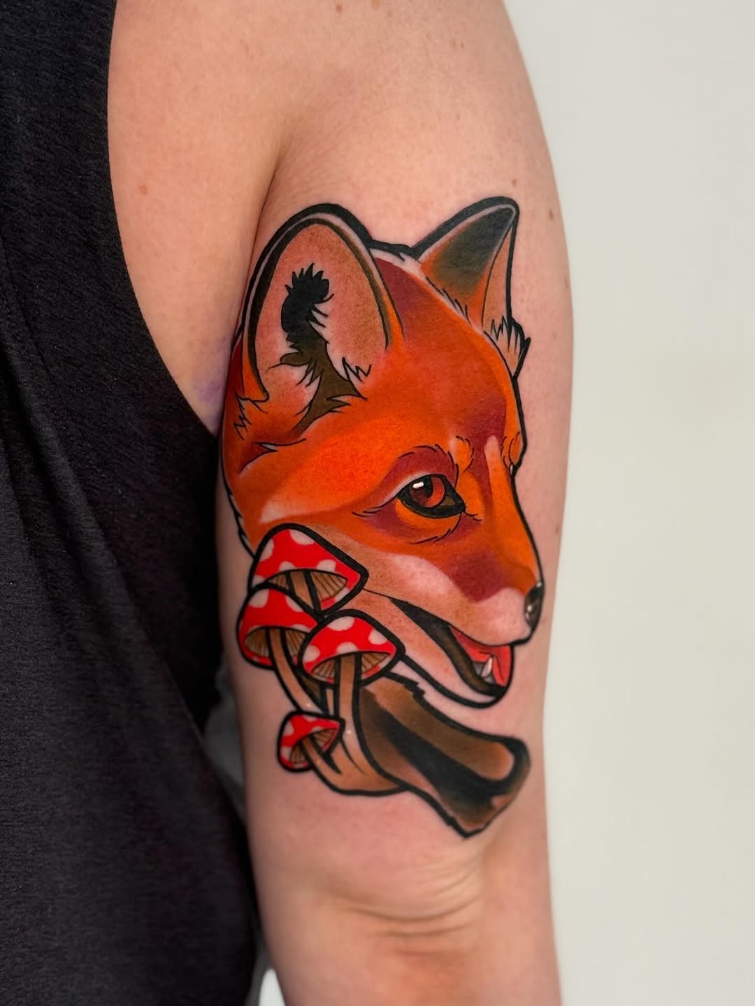 Animal, 여우