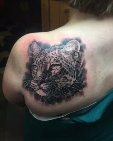 Animal, 표범, 치타