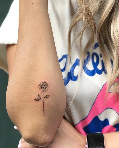 Flower, Rose