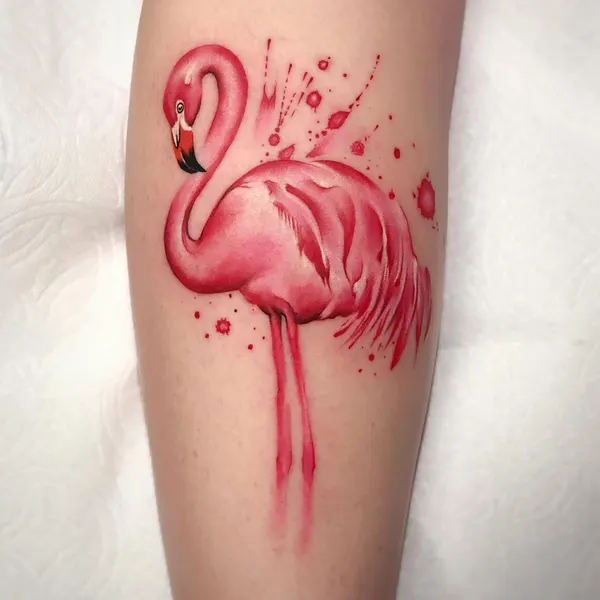 Animal, Flower, 백조, 플라밍고