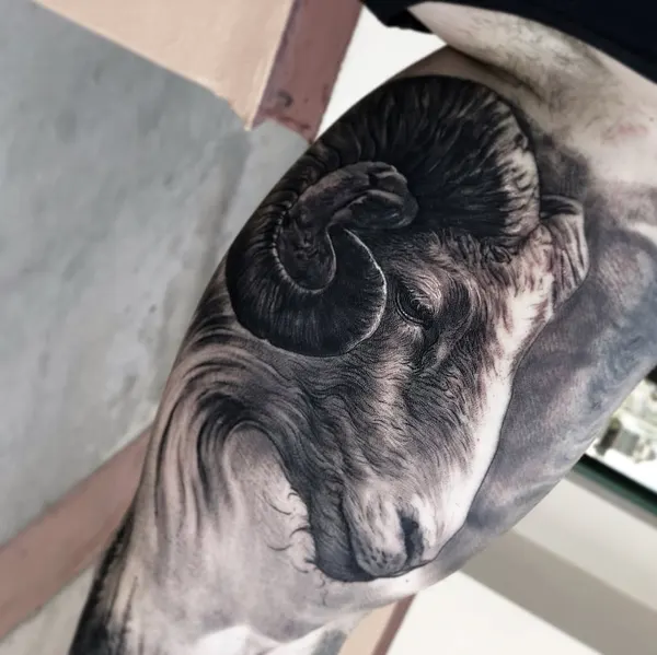 Snake, 고릴라