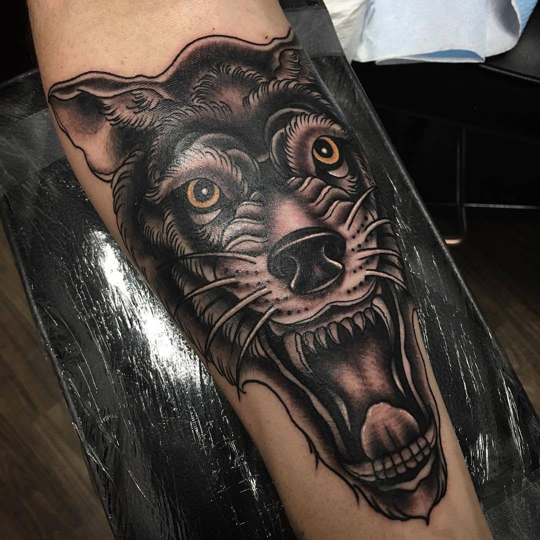 Animal, Tiger