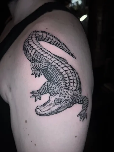 Dragon, 악어, 도마뱀