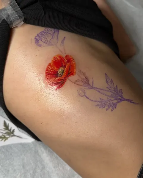 Flower, Rose, 양귀비
