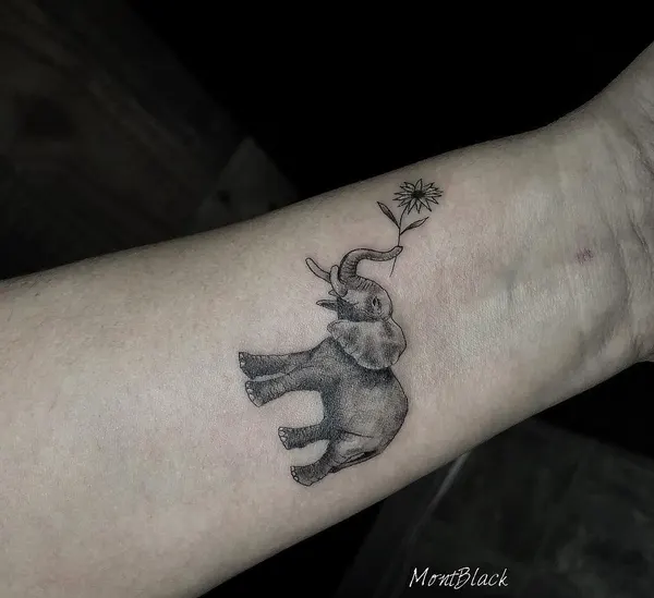 염소, 그리핀, 양자리, 유니콘, 염소자리, Animal