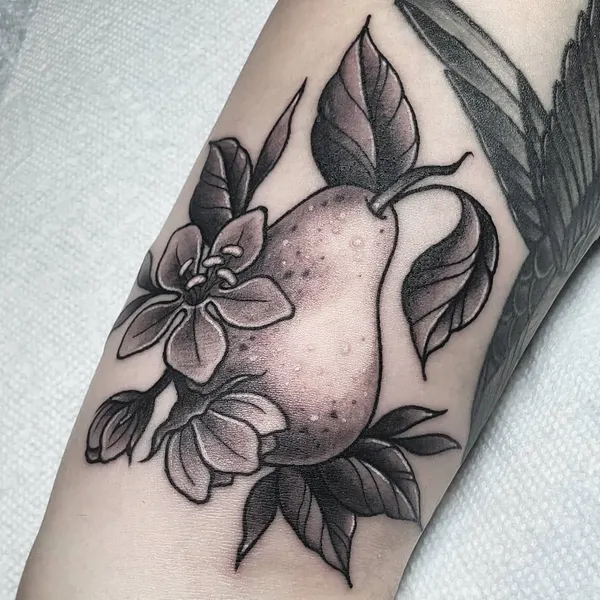 모란, 목련, Flower, Rose