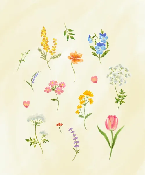 Flower, Nature