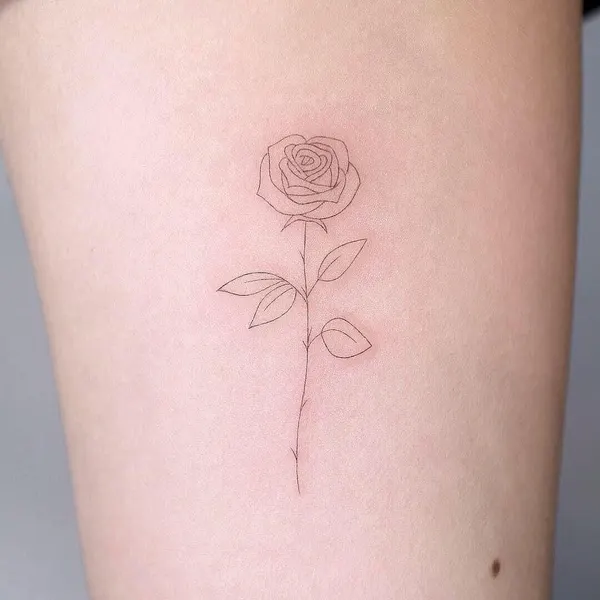 Flower, Rose