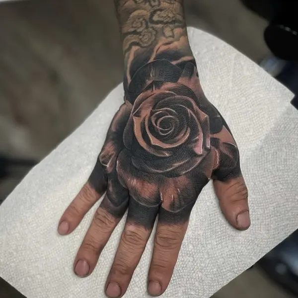 Flower, Rose