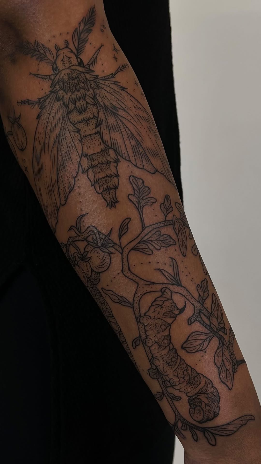 Flower, Animal, Nature