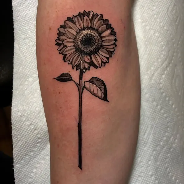 Flower, 해바라기