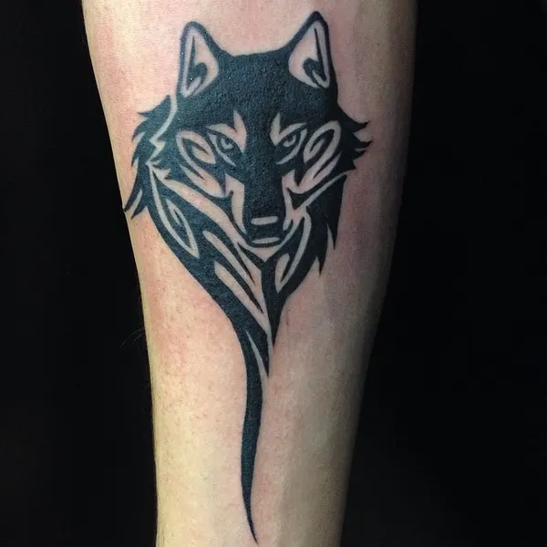 Animal, Tiger