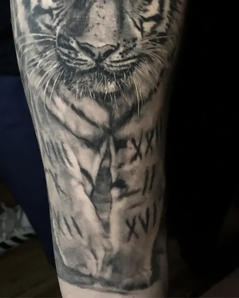 Tiger, 치타, 중국 호랑이