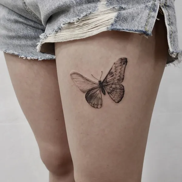 Animal, Nature, 나방, 매미, 잠자리, 요정, 동백꽃