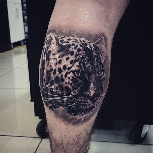 Animal, 표범, 재규어