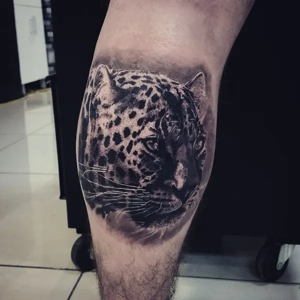 Animal, 표범, 재규어
