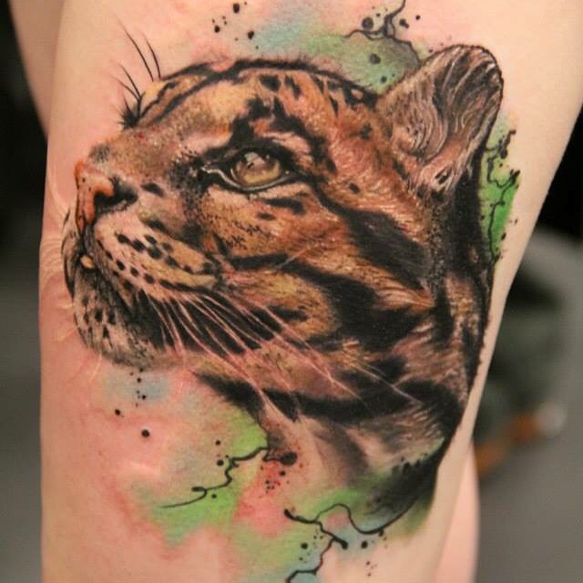 Tiger, 중국 호랑이, 표범, 일본 호랑이