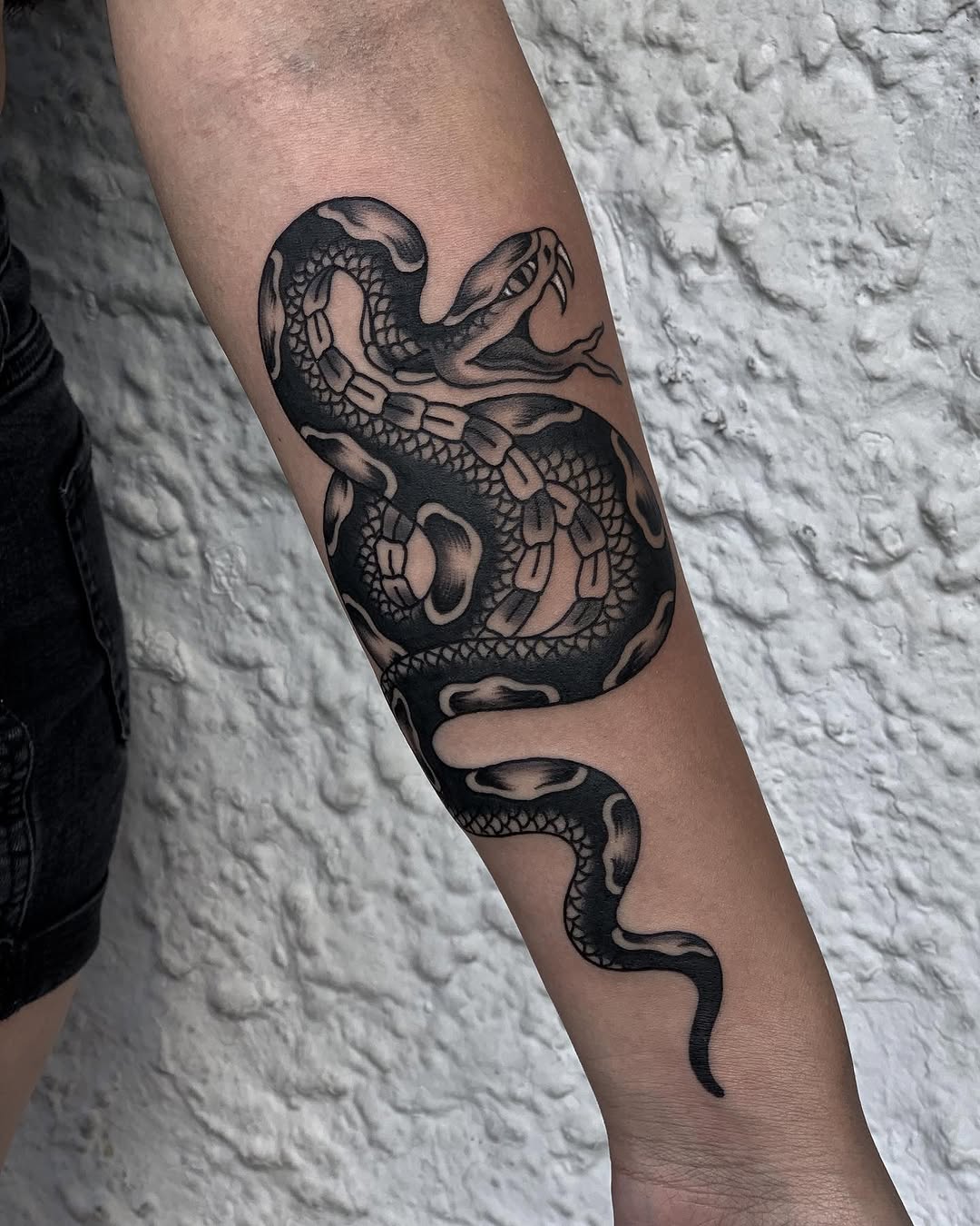 Dragon, Snake
